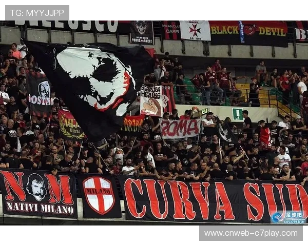 意甲提升残疾人士观赛体验 完善无障碍设施助力无障碍观赛